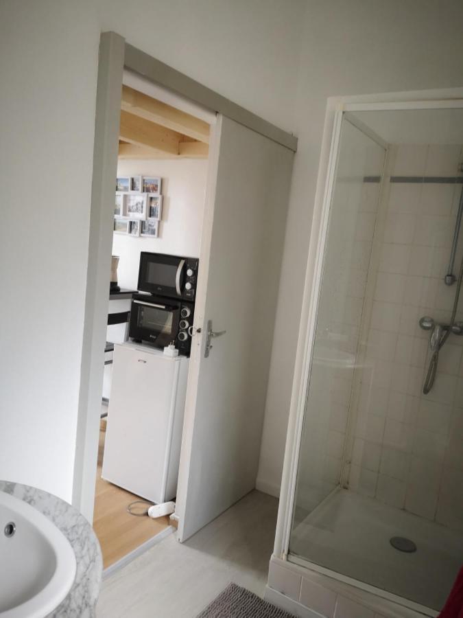Studio Quai De Loire Hyper Centre Local A Velo Saumur Dış mekan fotoğraf